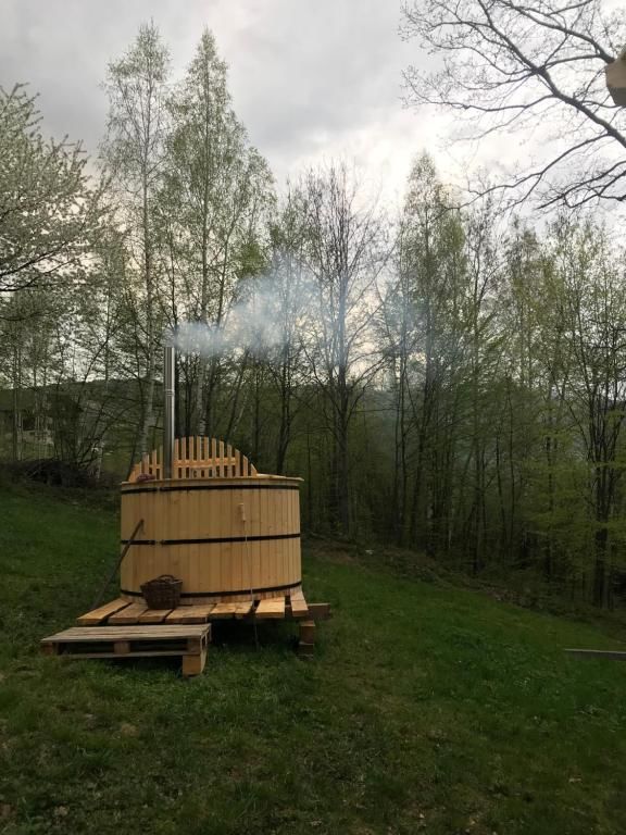 Дома для отпуска Небосхил Яремче-90